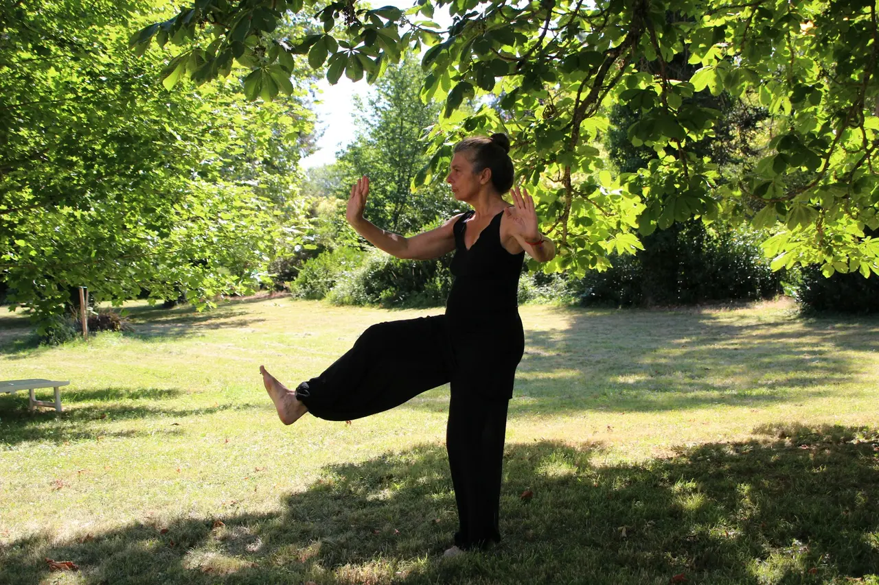 Tai Chi — foto 2